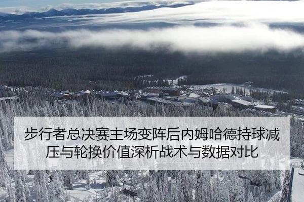 步行者总决赛主场变阵后内姆哈德持球减压与轮换价值深析战术与数据对比