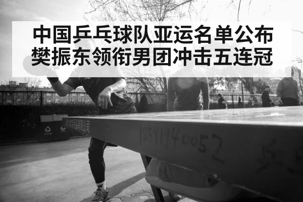 Chinese table tennis team